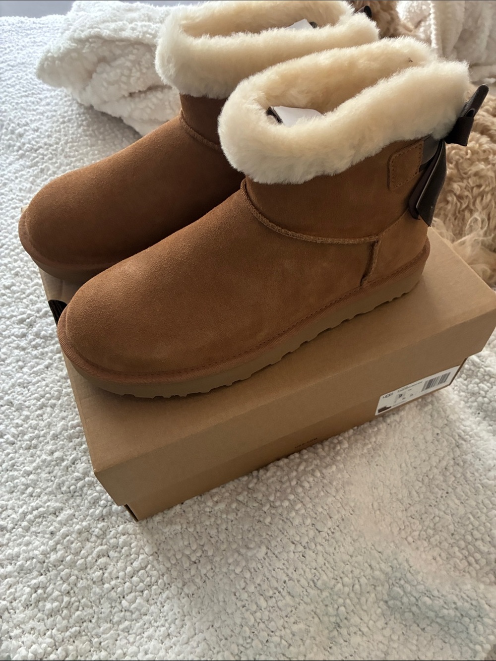 UGG Chestnut Lace-Up Short Suede Boots with Cream Shearling Collar new